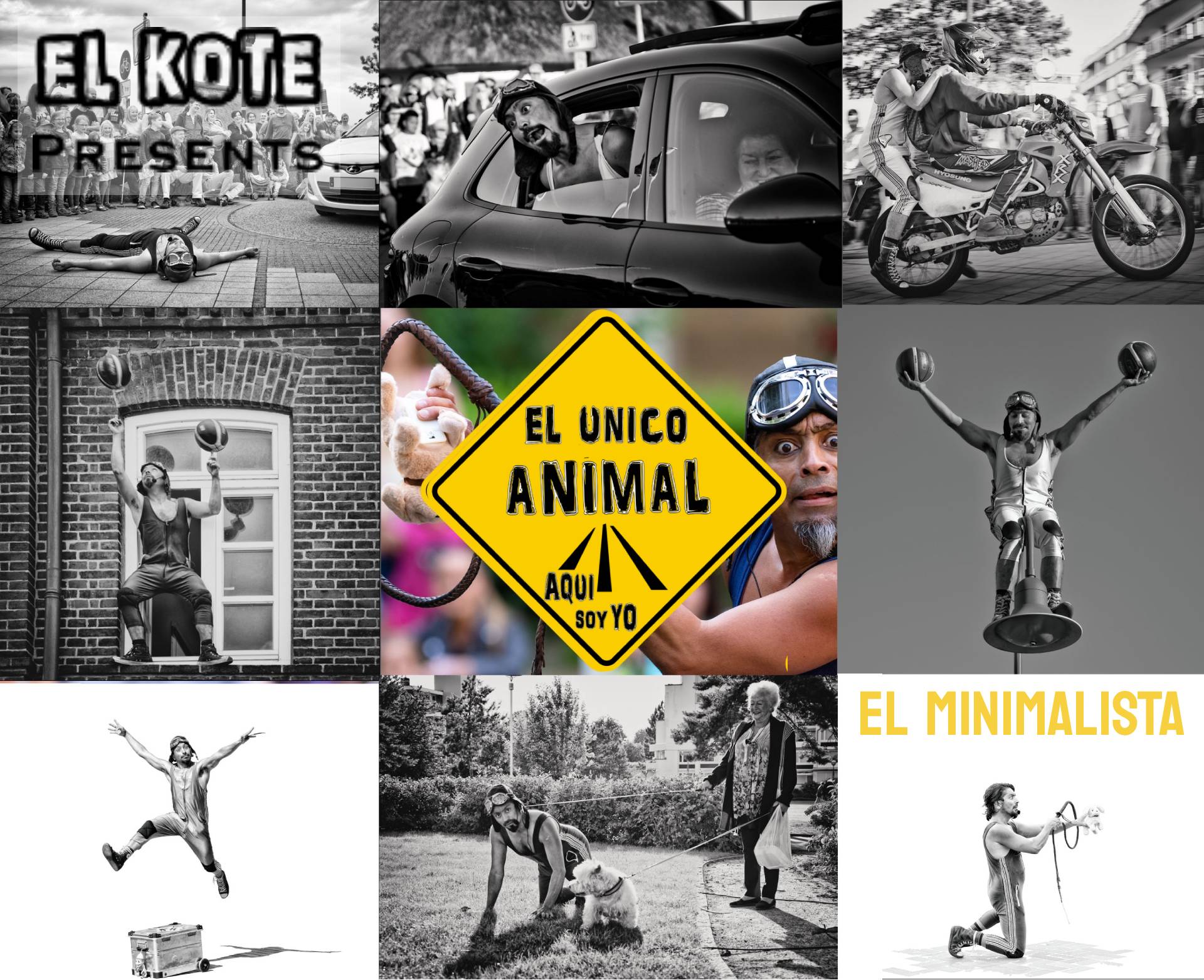 O Único Animal Aqui Sou Eu